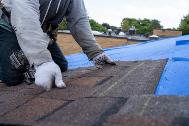 Best Roof Waterproofing Services  in Audubon, IA